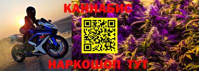 гашик Ливны