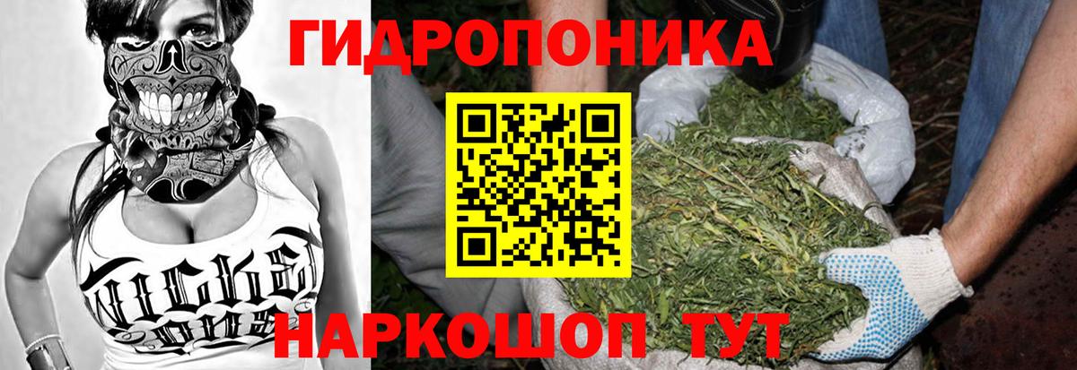 Бошки Шишки ГИДРОПОН Энгельс